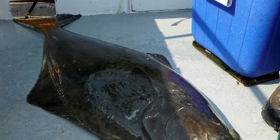 Canada and the United States are unable to agree on 2018 halibut catch limits.