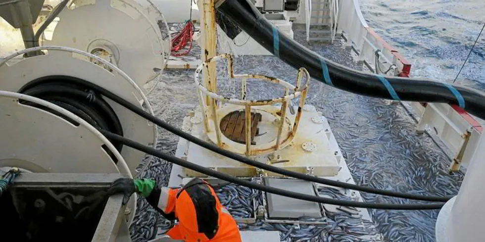 For years, the European Union, Norway, Iceland, the Faroe Islands, the United Kingdom, Russia, and Greenland have been unable to reach an agreement on mackerel, blue whiting and Atlanto-Scandian herring in the northeast Atlantic.