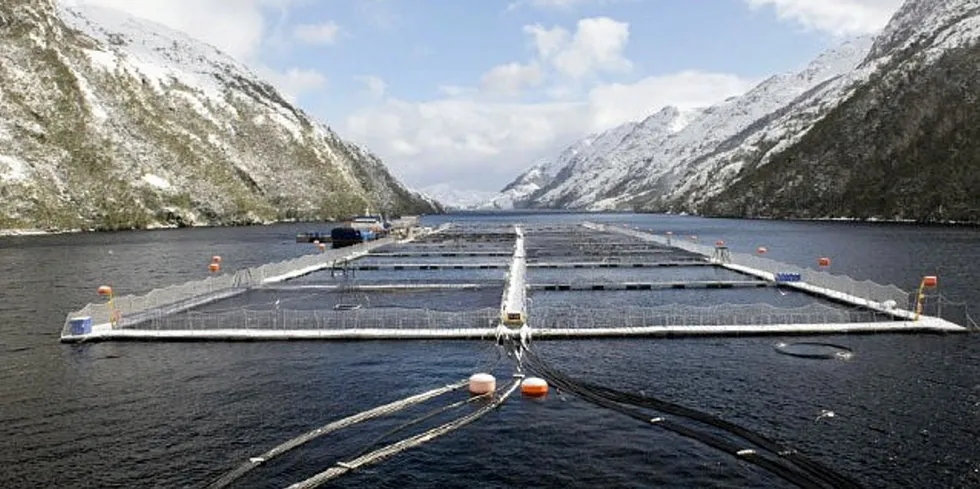 Once again Nova Austral is in hot water with authorities.