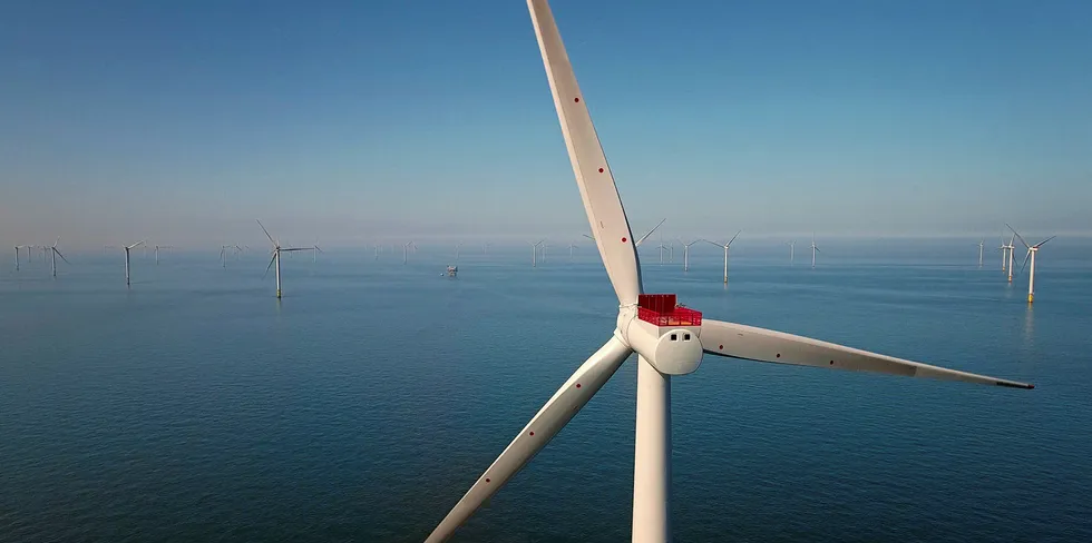 Wind vs. fishing: the battle continues.