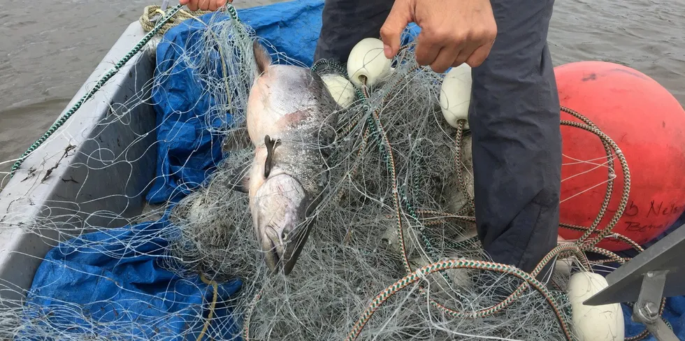 The Kuskokwim River Inter-Tribal Fish Commission is asking the US pollock industry to impose a chum salmon bycatch cap to help subsistence users.
