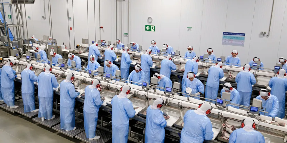Tilapia and salmon are flying off processing lines in Brazil this year.