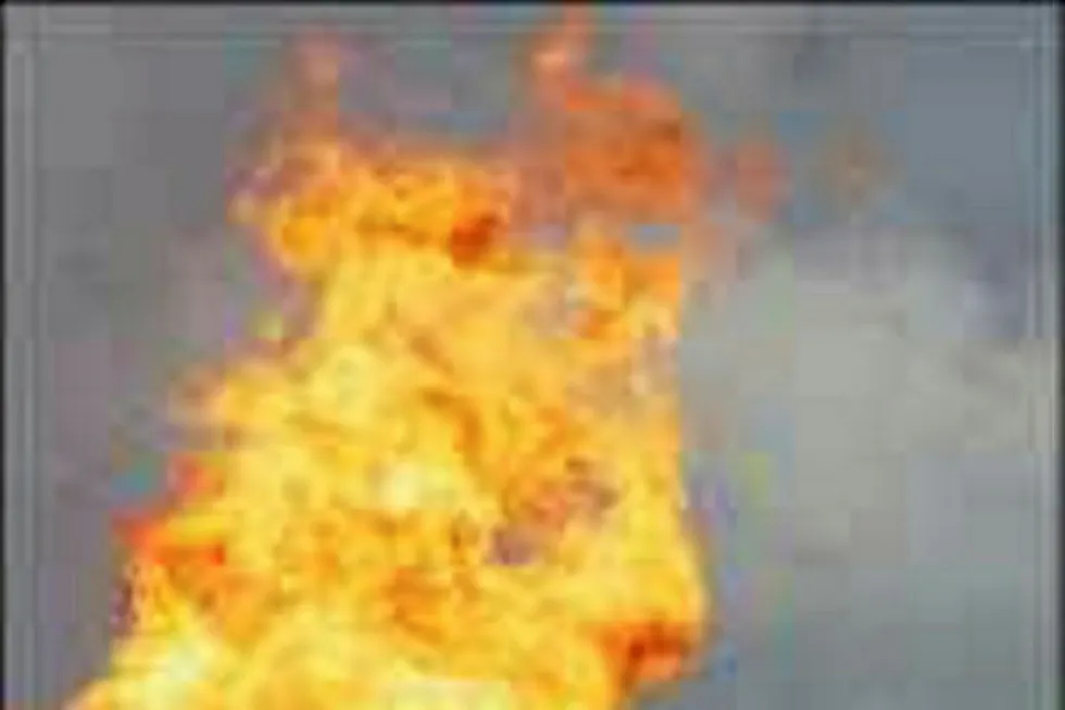 Flaring: Hurricane's Lincoln Crestal wildcat (illustration photo)