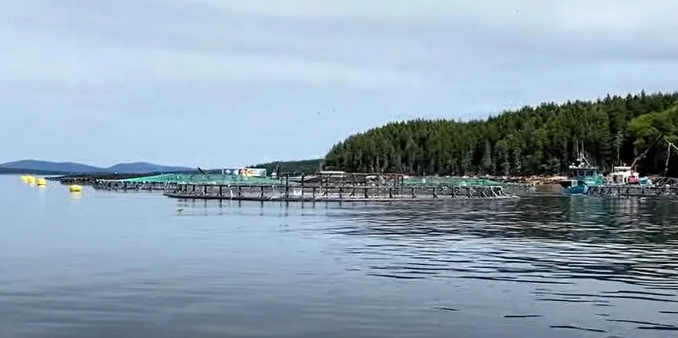 Cooke's salmon farm at Black Island in Maine lost fish in August due to low oxygen levels, according to the company.