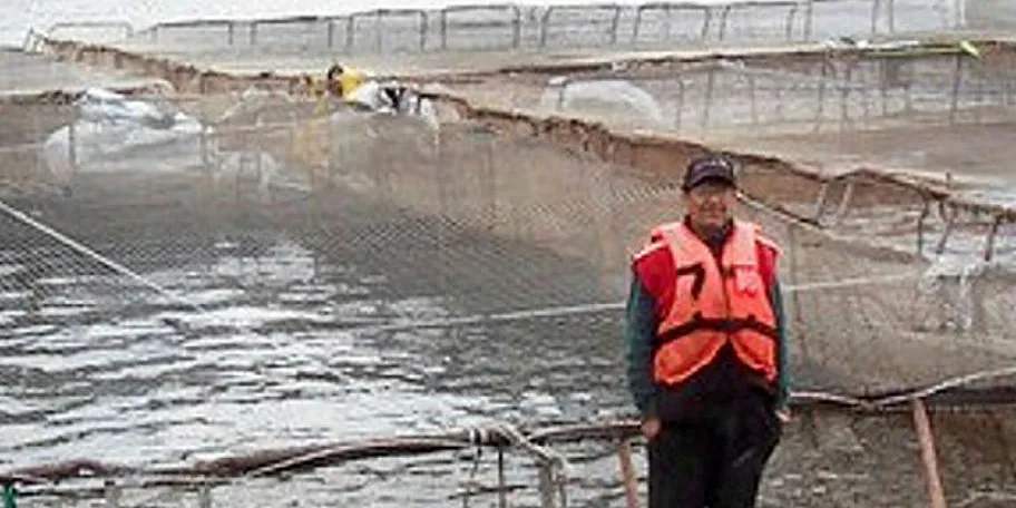 Chile's salmon farming sector has been pushing for the move for a long time.