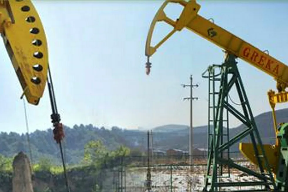 Green Dragon in China block deal trio