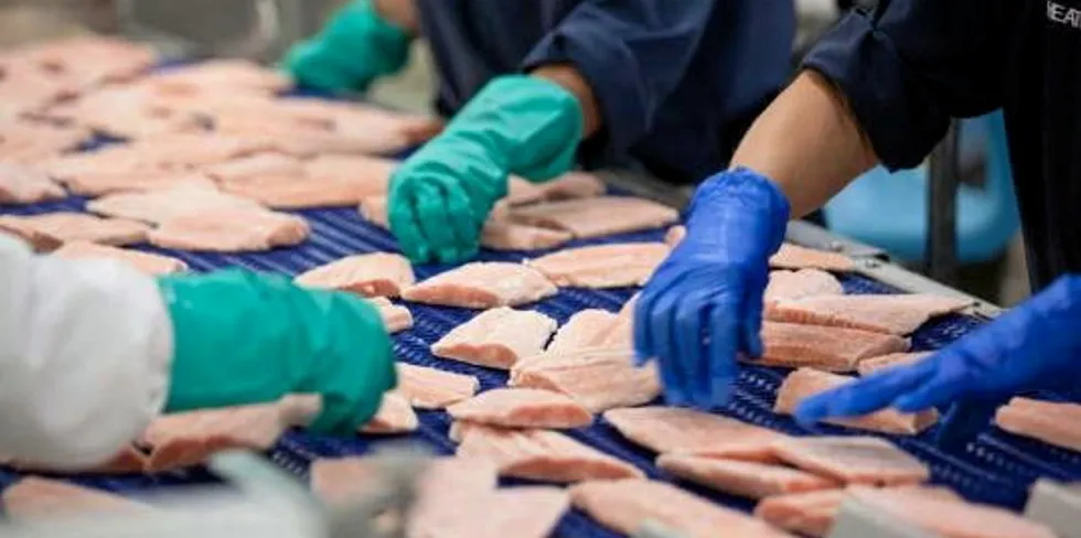 High Liner Foods says its investment will modernize the processing facility.