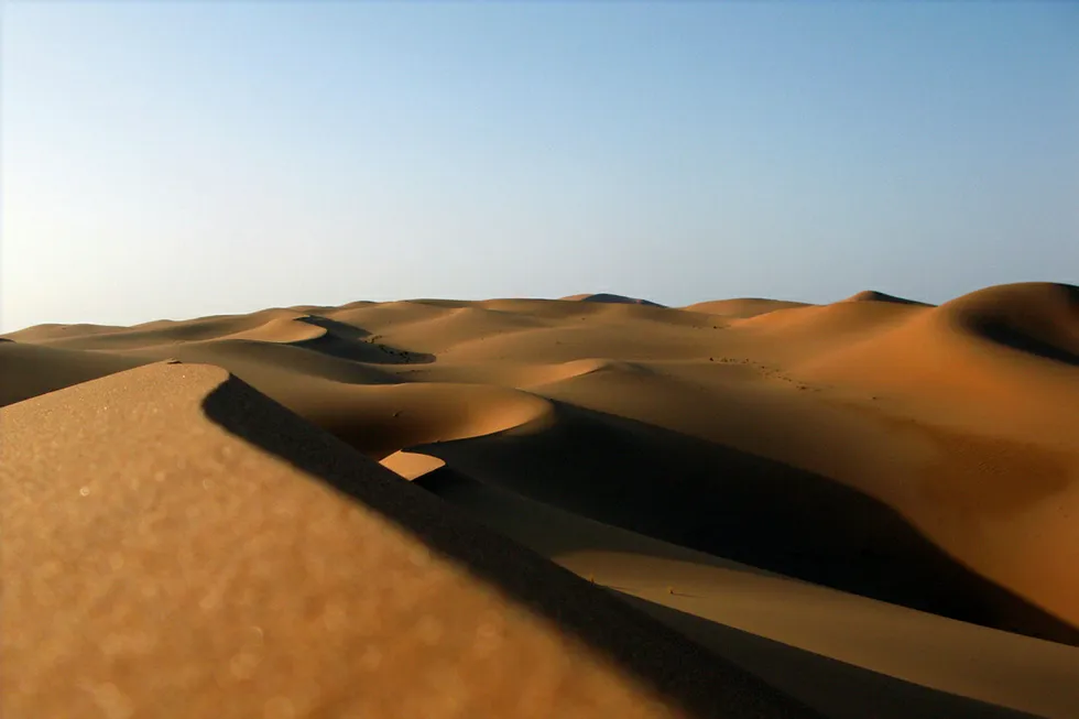 Protecting fields: Army sent to protect operations in south of Tunisia