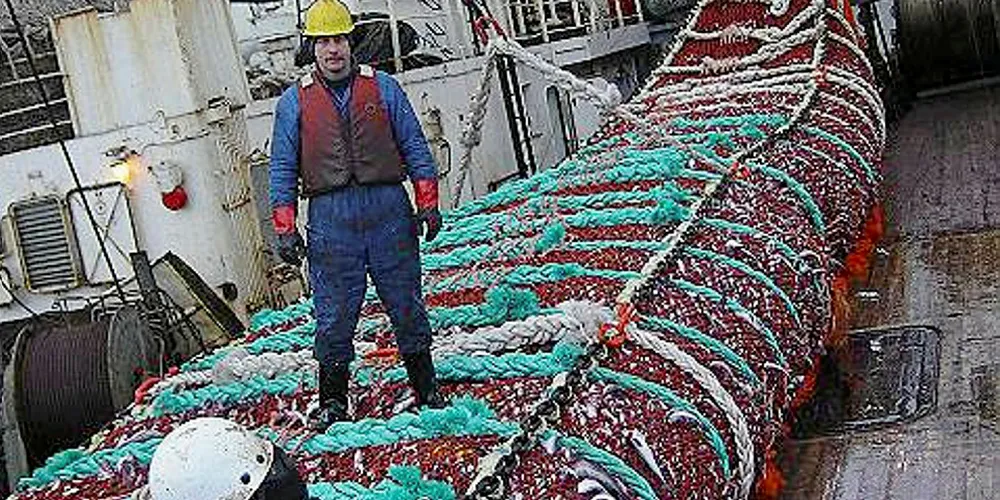 Onboard a Russian pollock trawler.