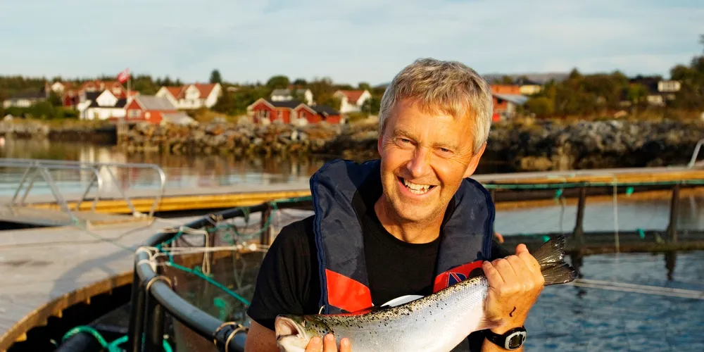 Arnfinn Torgnes er styreleder i Seløy Sjøfarm. (Foto: Erlend Haarberg)