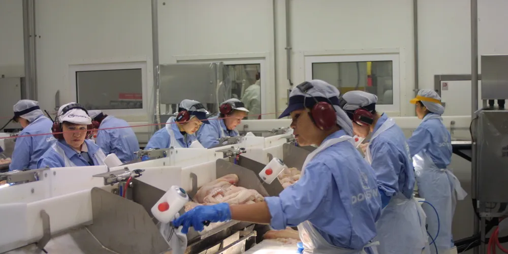 Bankrupt seafood supplier waiting for investor to save operations