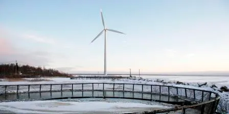 Finland looks to double aquaculture production by 2020