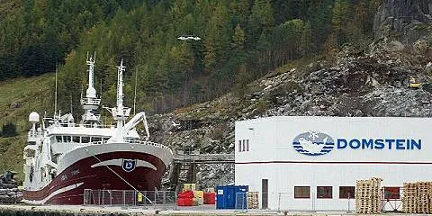 Domstein turns profit on stable whitefish sales
