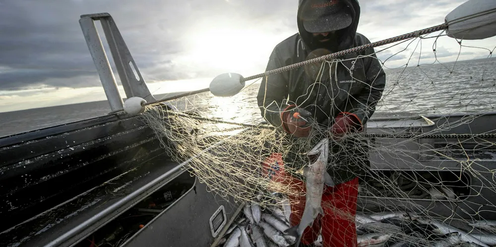 Seven additional seafood workers tested positive for COVID-19 on July 14, according to data published by the Alaska Department of Health and Social Services.