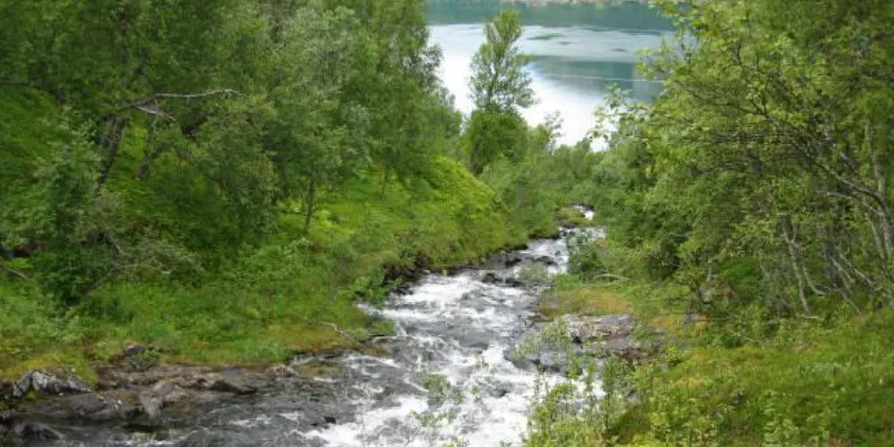 Får bygge Pikstein kraftverk