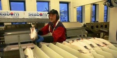 Norwegian salmon exporter hits $400 million mark