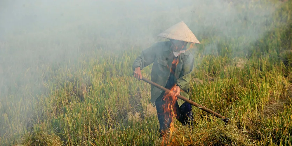 Vietnam's air is some of the most polluted in the region.