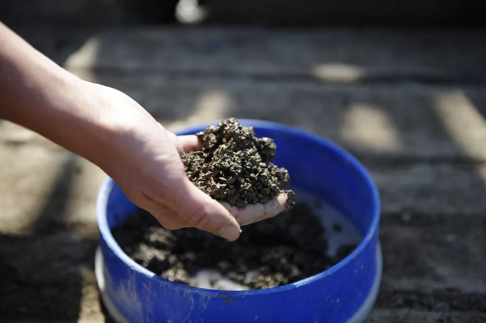 Testing: shale ground in Iran