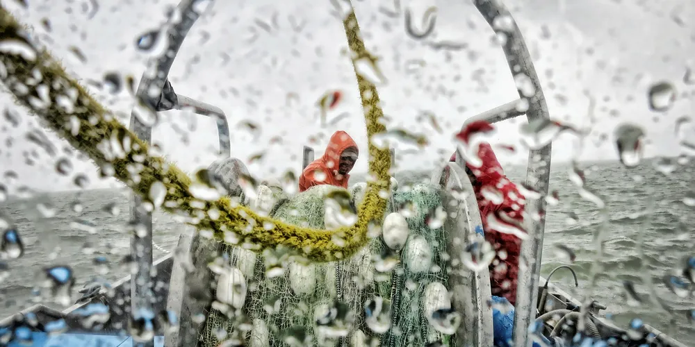 With a record season in the books, Bristol Bay salmon fishermen look toward 2019 season.