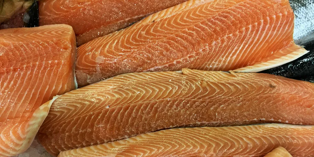 Marine Harvest expects big efficiency gains from the new line.