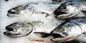 Minimum import price on farmed Norwegian salmon may be raised