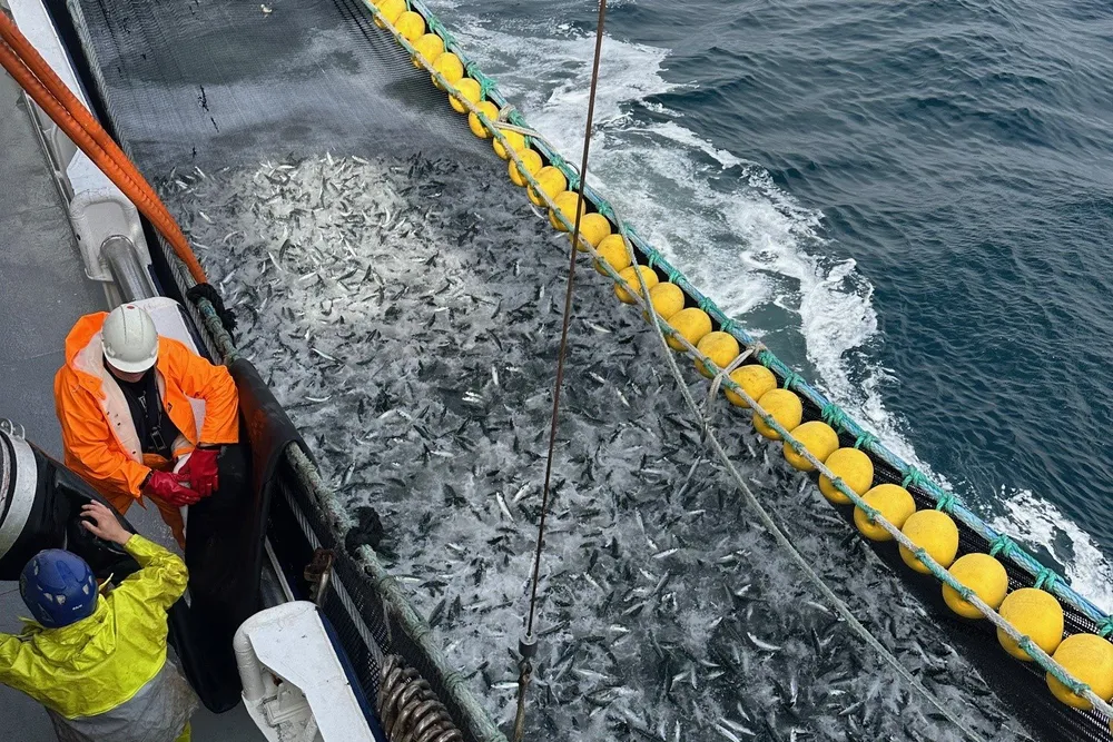 «Østerbris» er på vei til Pelagia Liavåg med makrell fra Norskehavet.