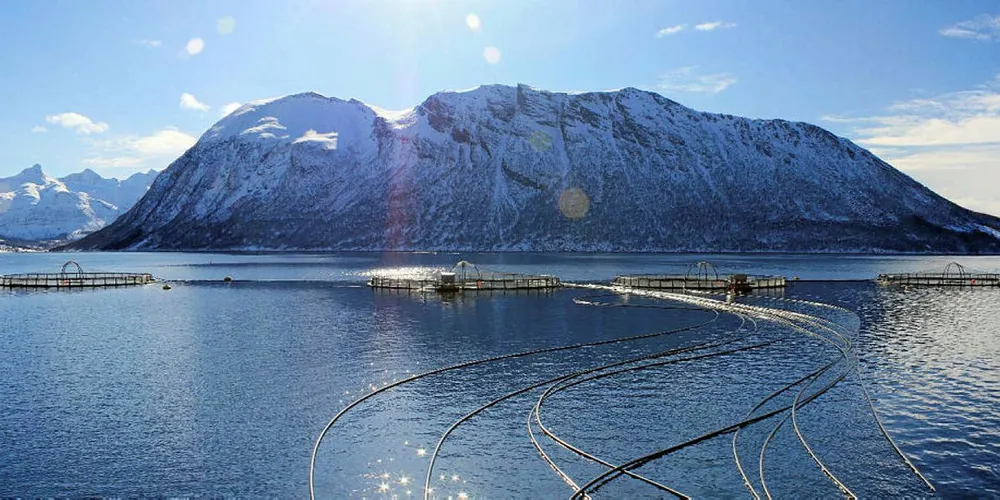Norway Salmon Farm