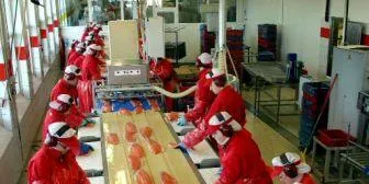 Russia locks out SalMar over bacteria findings