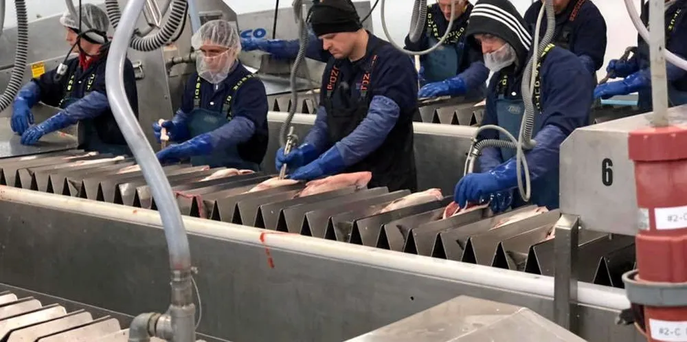 OBI's Wood River facility is one of the group's most modern, and produces critical fresh, high-value sockeye salmon primarily for the domestic US market.