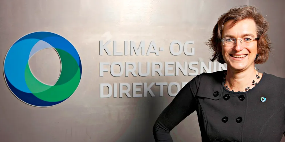 Direktør Ellen Hambro i Miljødirektoratet.