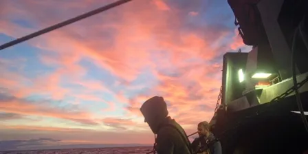 Seafish targets international roll out for new RFS standard