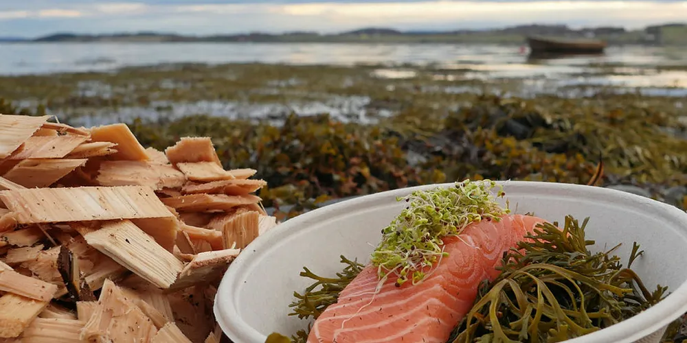 Farmed salmon prices remained flat in week 15.