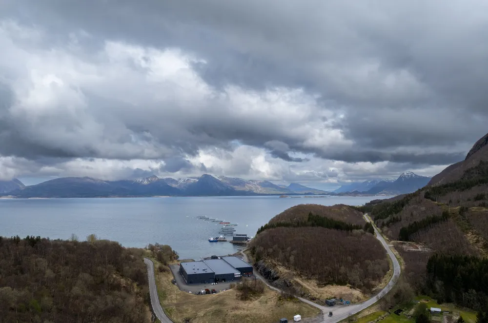 Avlsstasjonen Nordnorsk Stamfisk ligger i Leinesfjord i Steigen kommune i Nordland. Der produseres rogna til halvparten av all laks som blir produsert i Nord-Norge.