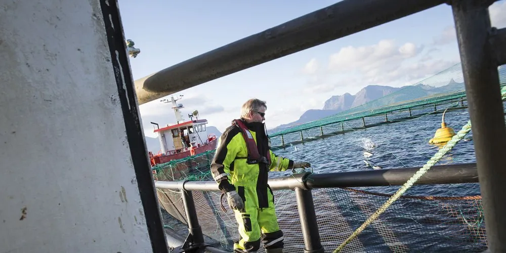 Oppdretterne får lov å sette mer fisk i havet. Foto: Ole Morten Melgård