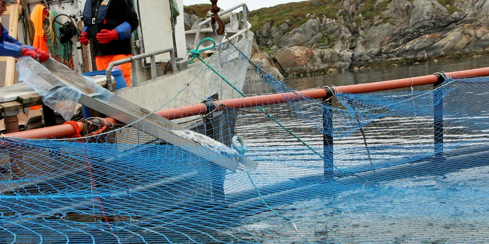 LEVENDELAGRING: De som driver levendelagring kan nå søke om å få lagre fisken i 20 uker.