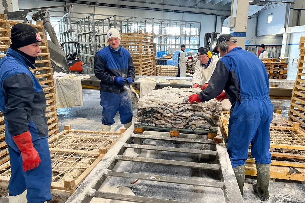 I årsregnskapet står det at til tross for høyere råstoffpriser, medførte en positiv prisutvikling i klippfiskmarkedet samlet sett bedre marginer for klippfisksalget for produsenten i Ålesund.