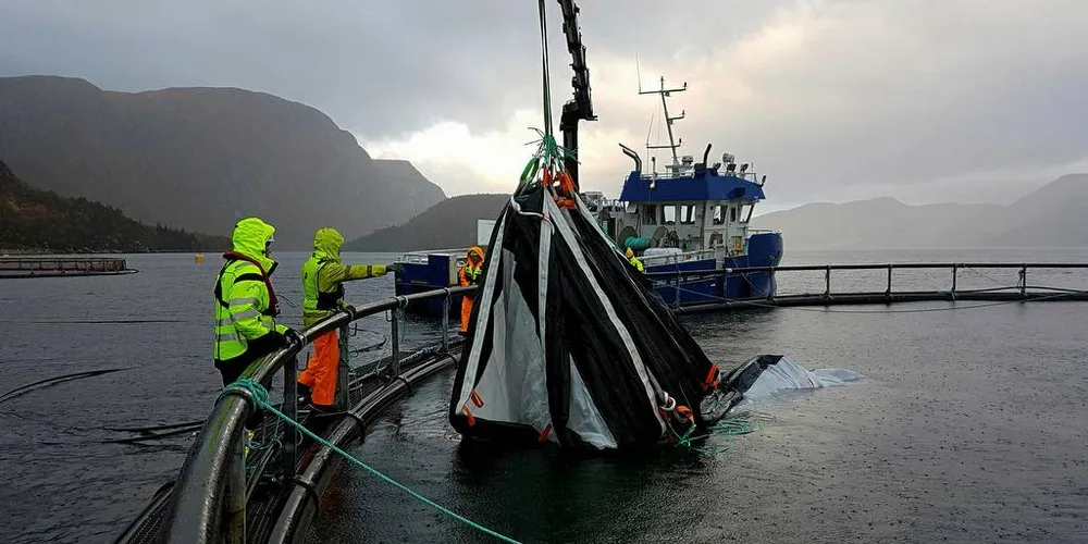 HAVBRUKSKOMMUNE: Vesterålen kan glemme å bli framtredende havbrukskommune hvis man velger å stenge døra for Eidsfjord Sjøfarm. Her leveres det luseskjørt til Eidsfjord Sjøfarm.Foto: Selstad