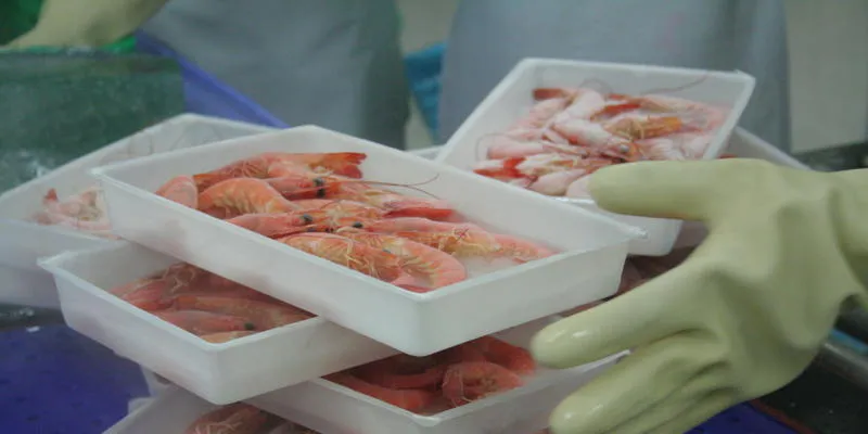 Taiwan to face hurdles in transition from fisheries to aquaculture