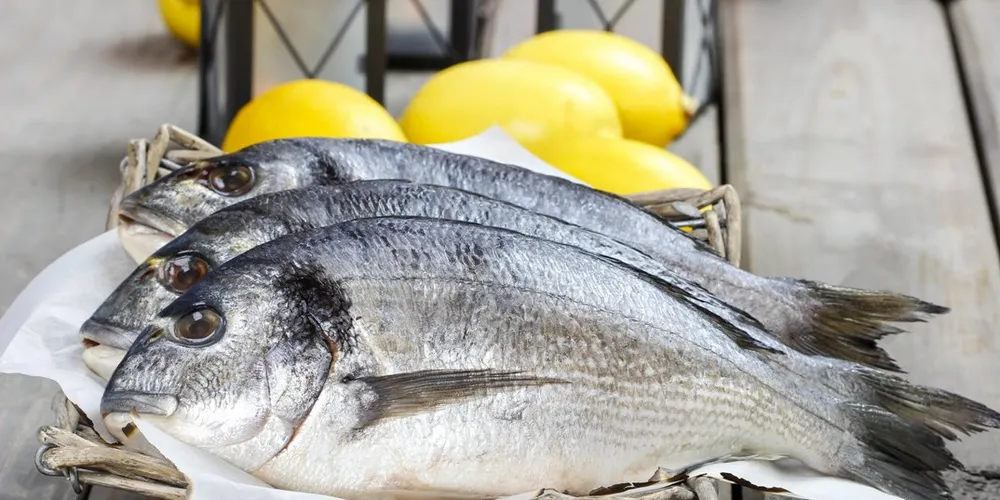 Grupo Tinamenor files for voluntary bankruptcy