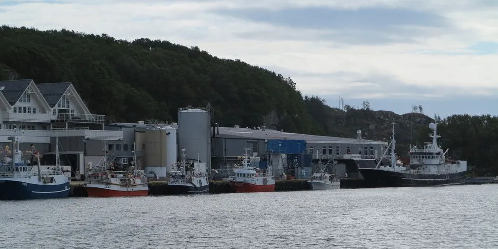 Alle båter som dorger etter makrell, som disse som leverer makrell til Austevoll Seafoods anlegg i Storebø, kan nå fiske kvoten med fritt redskapsvalg. Foto: Nils Torsvik