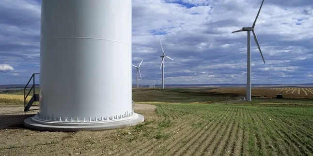 Suncor Energy's Magrath wind farm.