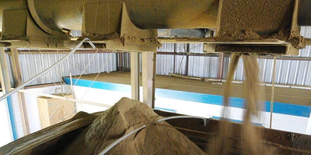 Chile's fish feed consumption dips 8%