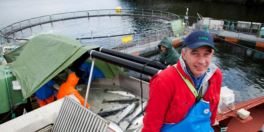 Kompetanse: Richard Markhus har arbeidd med stamfisk i over tjue år, og veit kva som skal til for å få fram god og levedyktig rogn. – Det er eit interessant arbeid, seier han. (Alle foto: Lars Arvid Oma)