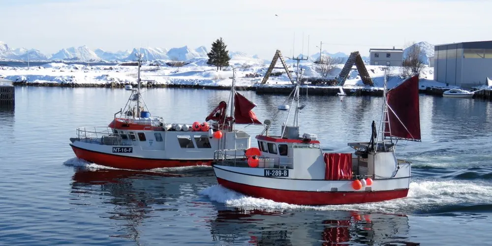Det kan være tid å spare på å komme først til fiskebruket når det skal leveres, og kappkjøring kan forekomme. Her er «Arina» (tv) og «Argus» på vei inn til Saga Fisk på havna i Svolvær. Foto: Jon Eirik Olsen.