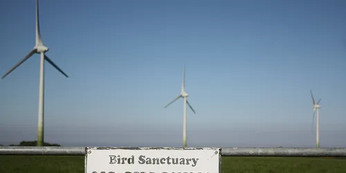 Wind pushes Ireland to the brink of "excess" electrical capacity