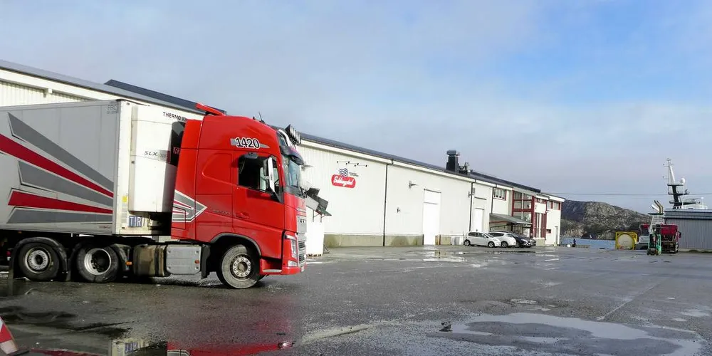 STREIK: Ansatte i Norse Production som slakter laks for Sekkingstad AS på Sotra, går i morgen ut i streik.