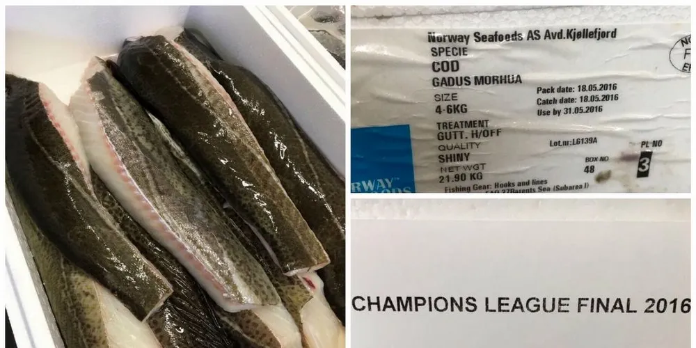 Denne torsken ender opp om mat til fotballspillerne og sponsorene i forbindele med Champions League-finalen i Milano. (FBFI-kollasje, bildegrunnlag: Norway Seafoods/Terence)
