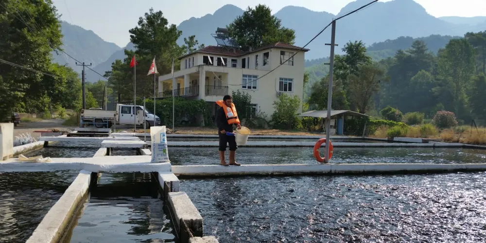 Photo: Aquaculture Stewardship Council