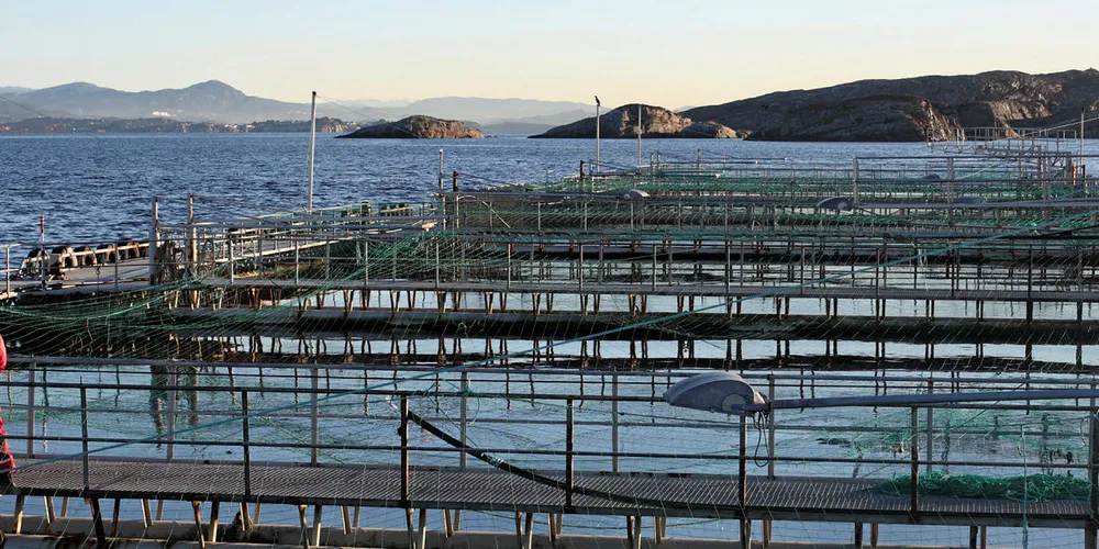 Blom Fiskeoppdrett er ett av selskapene som har lokaliteter i Øygarden.