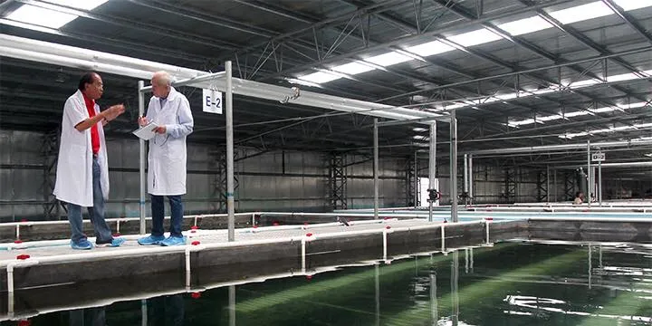 Sino Agro Food - Zhongshan MegaFarm